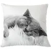 Coussin déhoussable en coton recyclé Noir 40x40 cm