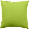 Coussin - HOME MAISON - Anis - 60 x 60 cm - Déhoussable - Uni en Coton