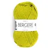 Pelote IDEALE 4 - Bergère de France(...) - KIWI