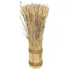 Grande BOTTE Epi de Blé naturel verticale 50cm