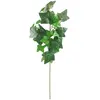Chaks 10839, Branche de Lierre 60cm, Vert