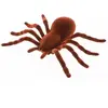 araignée tarentule déco jouet 18x11.5x3.5cm brun - générique 13104