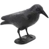 Grand Corbeau en plastique noir sur socle 31cm