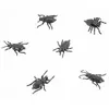 6 INSECTES DÉCO PLASTIQUE 6X4CM NOIR