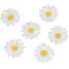 Chaks 13272, Sachet de 6 Marguerites 4,5cm à disperser, Blanches