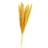 BOUQUET 6 TIGES HERBE DE PAMPA JAUNE 65-75CM Jaune