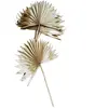 Feuilles de palmier - Blanc - 10 pièces - 55 cm - Décoration intérieure - Style contemporain