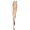 Branchages Yanagi - Chaks - 110cm - Naturel blanchi