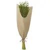 BOUQUET FLEURS DE LIN SÉCHÉES 60CM VERT CLAIR Vert
