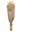 Chaks 11579, Bouquet d'Avoine 70cm, Naturel