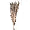 Bouquet 9 Feuilles de Dattier 110cm, Naturel