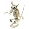 rat squelette 20x26x29cm - chaks 12121