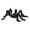 Grande Araignée velue noire 50cm