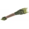 BOUQUET AVOINE SÉCHÉ NATUREL 65CM 180GR VERT Vert