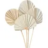 10 feuilles de palmier arrondies 50cm nature - chaks 11892