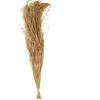 BOUQUET RAPHIA BAMBOU SÉCHÉ 110CM 250G NATUREL  Beige, Ivoire, Crème, Écru, Naturel, Taupe
