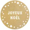 Lot 6 Sets de table Paillettes Premium 34cm JOYEUX Noël Etoiles, Or