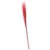 Non communiqué 50 muehlenbeckia séchées 90cm rouge - chaks 12698-02