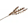 Branchage Eucalyptus artificiel 61cm, pailletée Marron