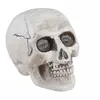 TÊTE DE MORT DÉCO PLASTIQUE 9X13X10.5CM