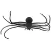 Araignée noire longues pattes 40cm