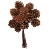 Bouquet 12 mini Pommes de pins naturelles sur tige 11cm