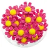 Boite de 18 Fleurs adhésives 3,5cm, Fuchsia