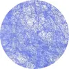 APTAFÊTES 10 sets de table non tissé ronds bleu Taille Un 