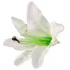 SACHET 6 FLEURS BLANC 13CMX12CM