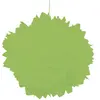 Set de 2 Pompons boules Papier De Soie 40cm, Vert
