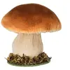 LE GEANT DE LA FETE Champignon sur socle bois mousse - Blanc / Brun