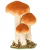3 CHAMPIGNONS BRUN BLANC SUR SOCLE 18 CM  Blanc