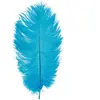 Sachet de 1 Plume d'Autruche 55-60cm, Turquoise