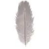 Sachet de 1 Plume d'Autruche 55-60cm, Gris clair