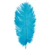Sachet de 5 Plumes d'Autruche 20-25cm, Turquoise