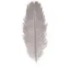 Sachet de 5 Plumes d'Autruche 20-25cm, Gris clair