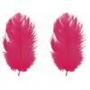 Sachet de 2 Plumes d'Autruche 30-35cm, Fuchsia