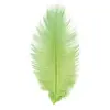 Sachet de 2 Plumes d'Autruche 30-35cm, Vert