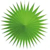 Lot de 3 petits éventails alvéolés luxe 17 cm, Vert