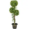 HOMCOM Plante artificielle arbre artificiel 3 boules de buis avec pot ...
