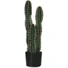 Outsunny Cactus artificiel grand réalisme 3 pieds Ø 17 x 60H cm pot inclus