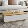 IDMarket Table Basse Tomi 110 Cm Avec Porte Façon Hêtre Et Blanc