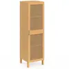 IDMarket Armoire de rangement EDHEN 1 porte 3 étagères bois et cannage
