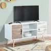 Idmarket - Meuble tv 113 cm scandinave bahia 2 portes