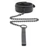 Collier avec Rembourrage + Laisse 