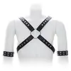 Harnais SM Cross Male Chest 