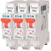 EATON CAPRI Lot de 3 disjoncteurs auto 10A PLG, Ph+N, borne à ressort, 4,5kA (EN 60898) courbe C