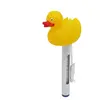 Thermomètre flottant canard pour piscine avec cordon  - Linxor