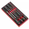 FACOM - Module mousse 10 tournevis Protwist Cruciforme - MODM.AT5PB