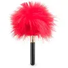 Petit plumeau pour jeux coquins Caress